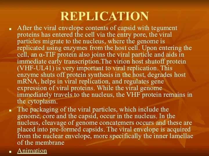 REPLICATION After the viral envelope contents of capsid with tegument proteins