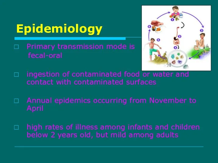 Epidemiology Primary transmission mode is fecal-oral ingestion of contaminated food or