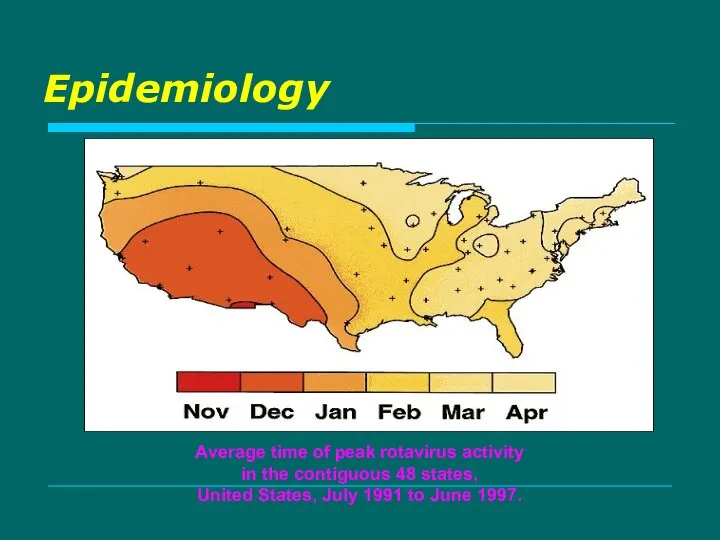 Epidemiology Average time of peak rotavirus activity in the contiguous 48