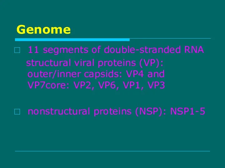 Genome 11 segments of double-stranded RNA structural viral proteins (VP): outer/inner