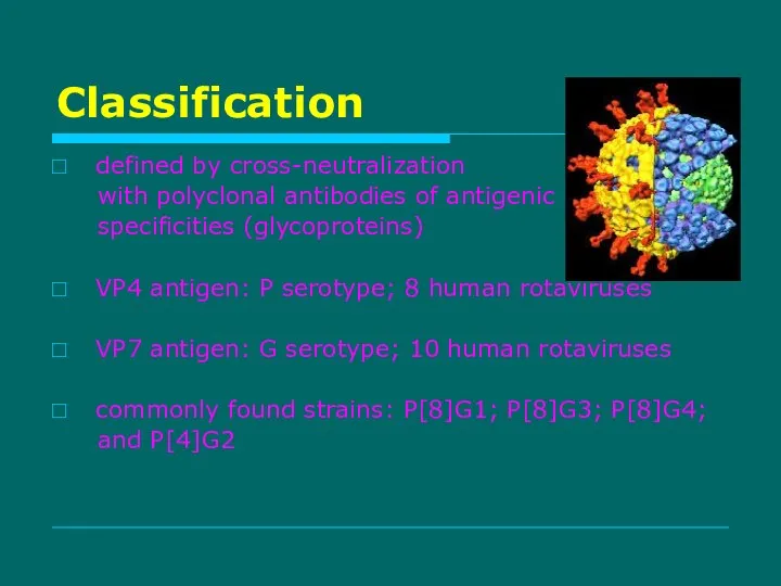 Classification defined by cross-neutralization with polyclonal antibodies of antigenic specificities (glycoproteins)