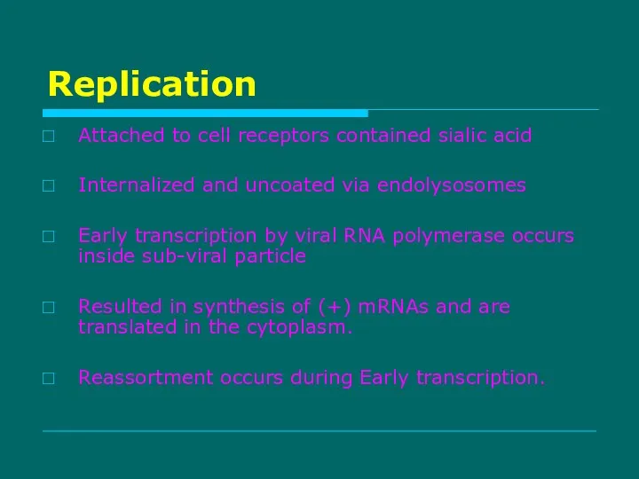 Replication Attached to cell receptors contained sialic acid Internalized and uncoated