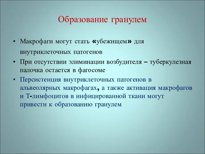 Образование гранулем Макрофаги могут стать «убежищем» для внутриклеточных патогенов При отсутствии