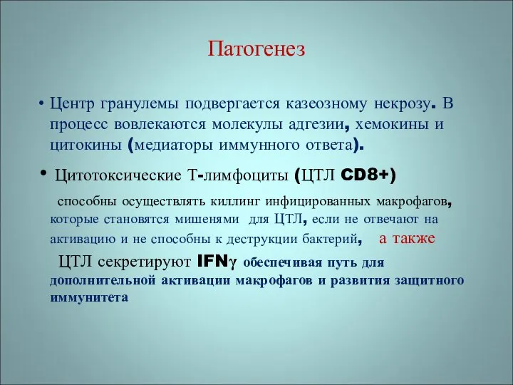 Патогенез Центр гранулемы подвергается казеозному некрозу. В процесс вовлекаются молекулы адгезии,