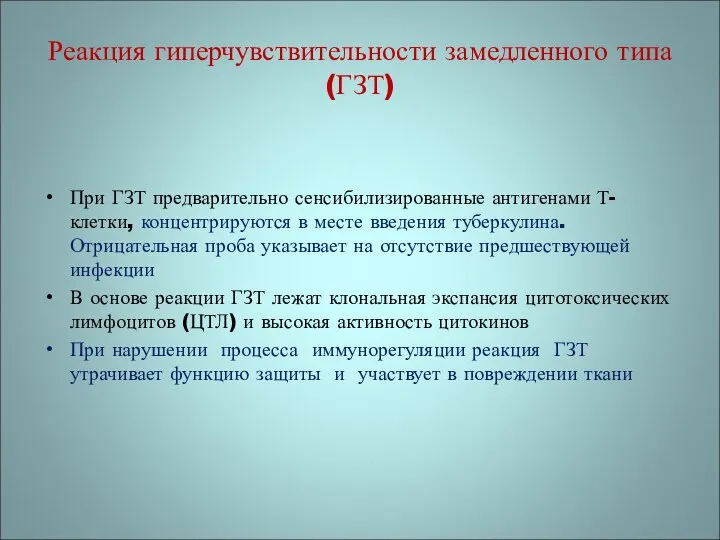 При ГЗТ предварительно сенсибилизированные антигенами Т-клетки, концентрируются в месте введения туберкулина.