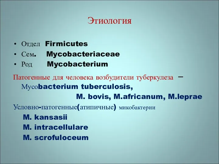 Этиология Отдел Firmicutes Сем. Mycobacteriaceae Род Mycobacterium Патогенные для человека возбудители