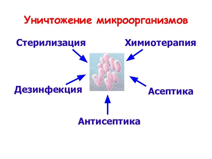 Уничтожение микроорганизмов Стерилизация Дезинфекция Антисептика Асептика Химиотерапия