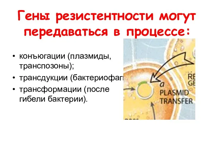 Гены резистентности могут передаваться в процессе: конъюгации (плазмиды, транспозоны); трансдукции (бактериофаги); трансформации (после гибели бактерии).