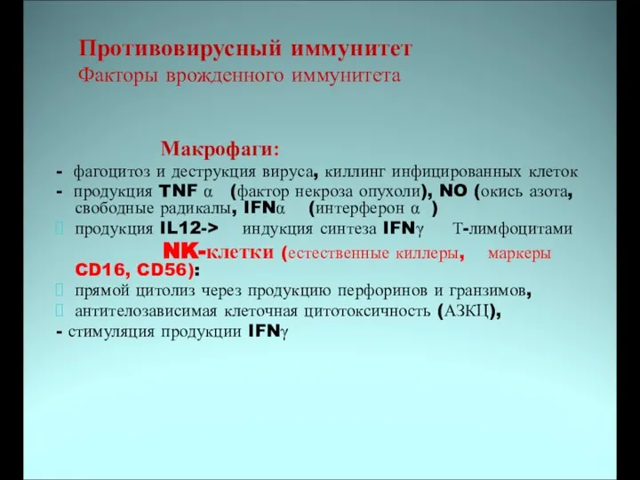 Противовирусный иммунитет Факторы врожденного иммунитета Макрофаги: - фагоцитоз и деструкция вируса,