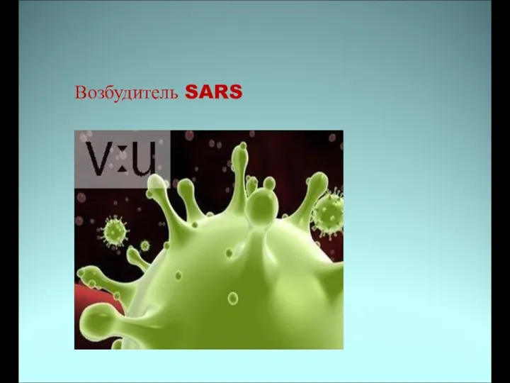 Возбудитель SARS