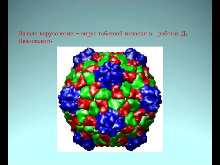 Начало вирусологии – вирус табачной мозаики в работах Д.Ивановского