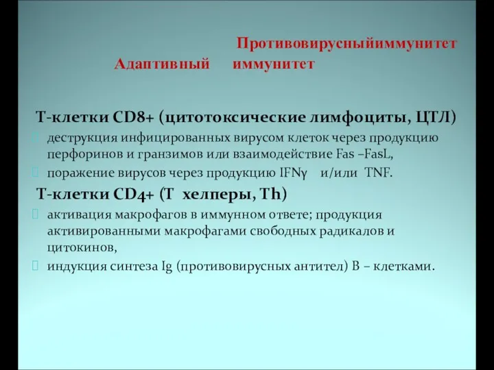 Противовирусныйиммунитет Адаптивный иммунитет Т-клетки CD8+ (цитотоксические лимфоциты, ЦТЛ) деструкция инфицированных вирусом