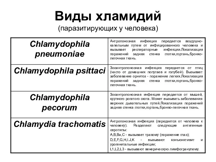 Виды хламидий (паразитирующих у человека)