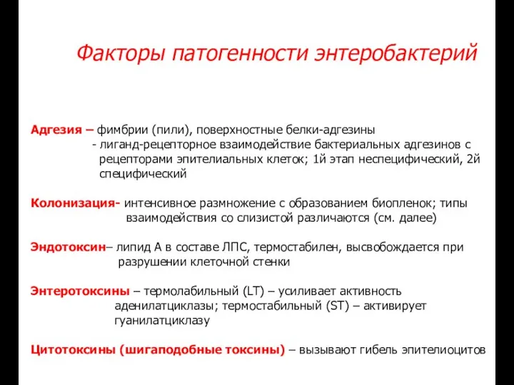 Факторы патогенности энтеробактерий Адгезия – фимбрии (пили), поверхностные белки-адгезины - лиганд-рецепторное