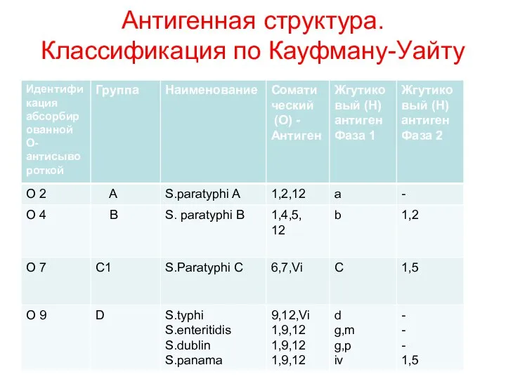 Антигенная структура. Классификация по Кауфману-Уайту