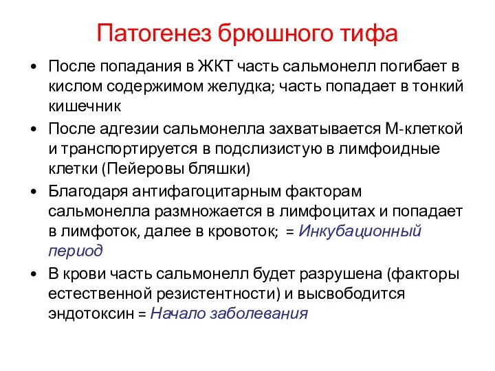 Патогенез брюшного тифа После попадания в ЖКТ часть сальмонелл погибает в