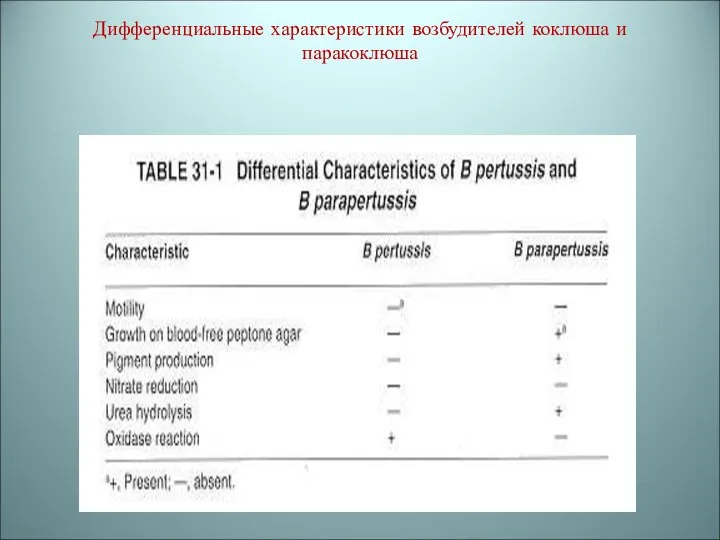 Дифференциальные характеристики возбудителей коклюша и паракоклюша