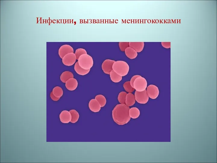 Инфекции, вызванные менингококками