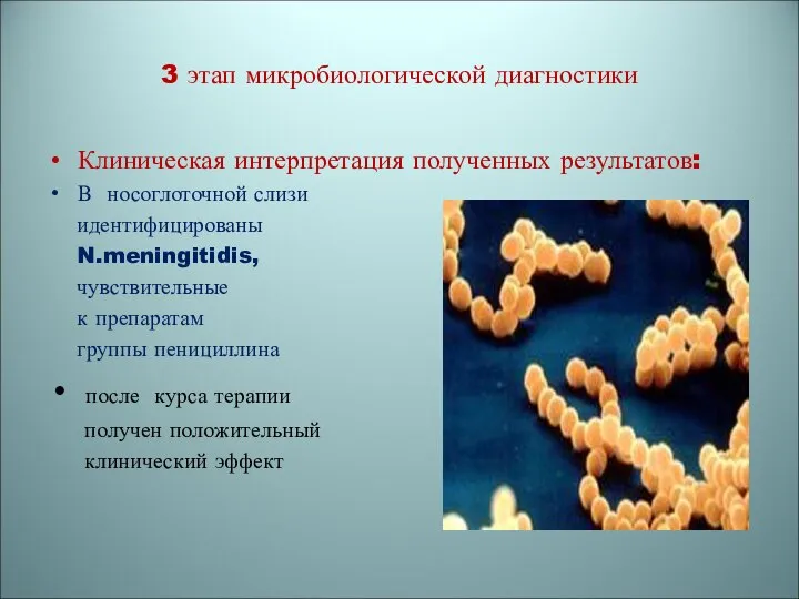 3 этап микробиологической диагностики Клиническая интерпретация полученных результатов: В носоглоточной слизи