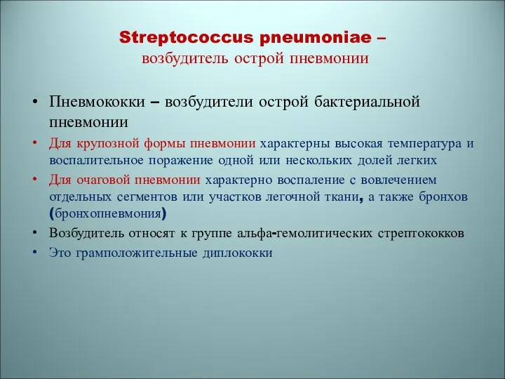 Streptococcus pneumoniae – возбудитель острой пневмонии Пневмококки – возбудители острой бактериальной