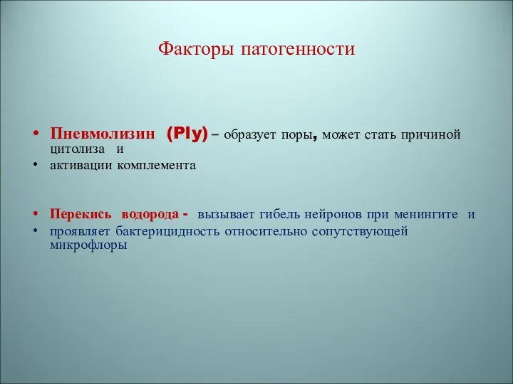 Факторы патогенности Пневмолизин (Ply) – образует поры, может стать причиной цитолиза