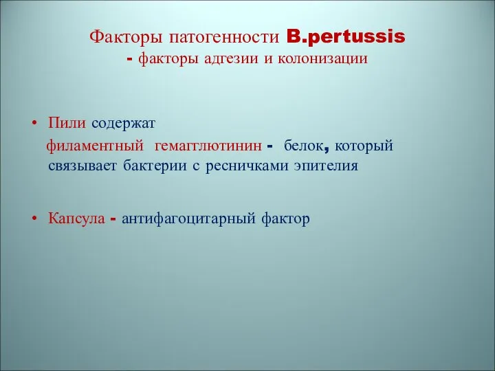 Факторы патогенности B.pertussis - факторы адгезии и колонизации Пили содержат филаментный