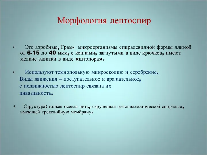 Морфология лептоспир Это аэробные, Грам- микроорганизмы спиралевидной формы длиной от 6-15