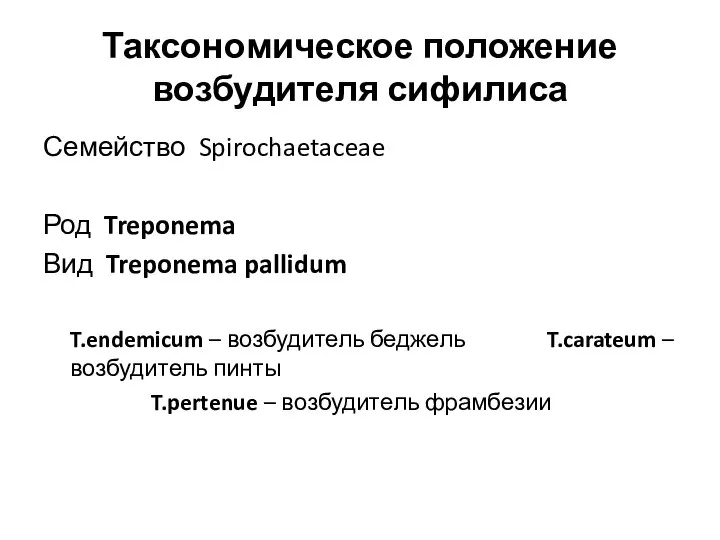 Таксономическое положение возбудителя сифилиса Семейство Spirochaetaceae Род Treponema Вид Treponema pallidum