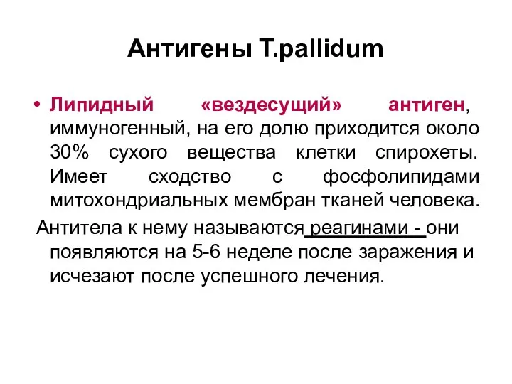 Антигены T.pallidum Липидный «вездесущий» антиген, иммуногенный, на его долю приходится около