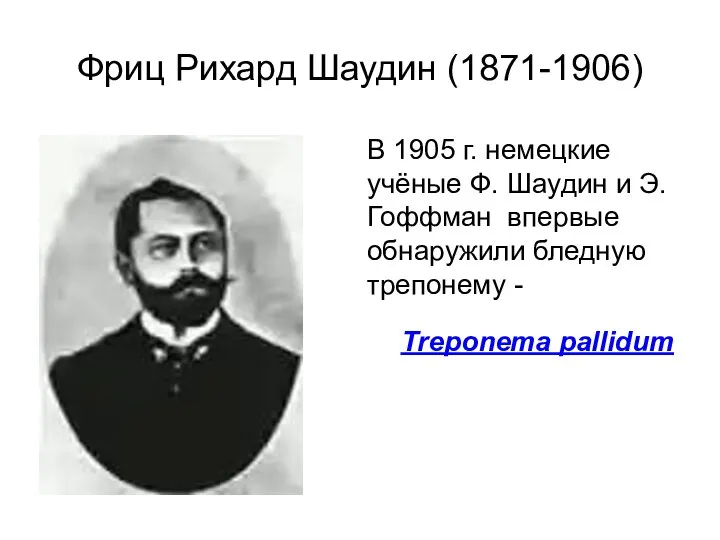 Фриц Рихард Шаудин (1871-1906) В 1905 г. немецкие учёные Ф. Шаудин