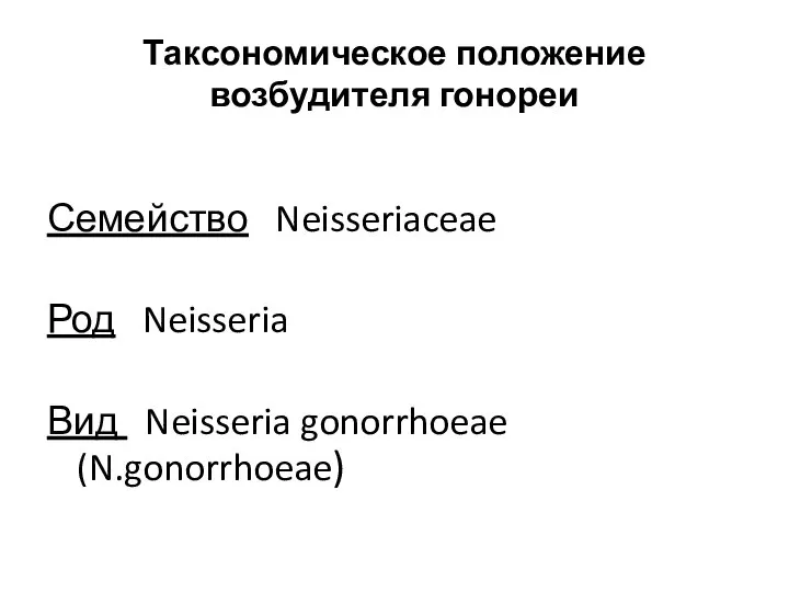 Таксономическое положение возбудителя гонореи Семейство Neisseriaceae Род Neisseria Вид Neisseria gonorrhoeae (N.gonorrhoeae)