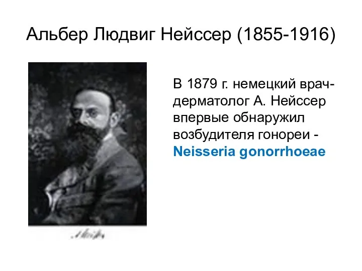 Альбер Людвиг Нейссер (1855-1916) В 1879 г. немецкий врач-дерматолог А. Нейссер