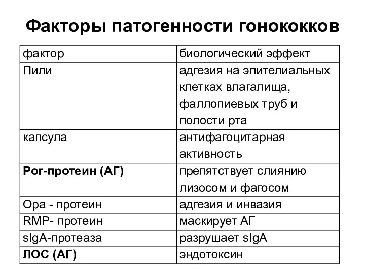 Факторы патогенности гонококков