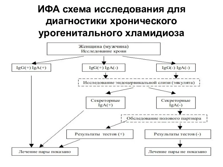 ИФА схема исследования для диагностики хронического урогенитального хламидиоза