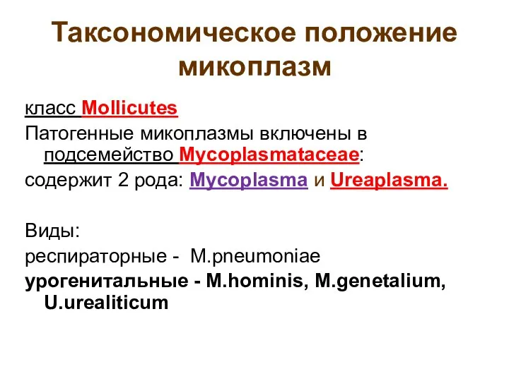 Таксономическое положение микоплазм класс Mollicutes Патогенные микоплазмы включены в подсемейство Mycoplasmataceae: