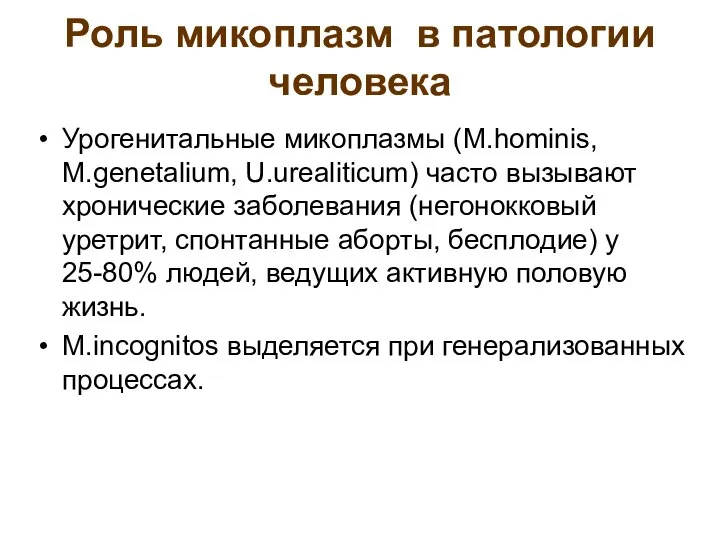 Роль микоплазм в патологии человека Урогенитальные микоплазмы (M.hominis, M.genetalium, U.urealiticum) часто