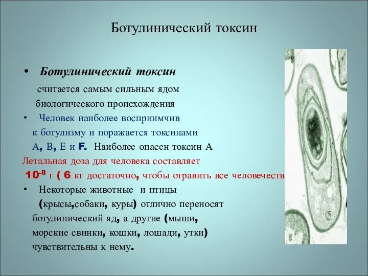 Ботулинический токсин Ботулинический токсин считается самым сильным ядом биологического происхождения Человек