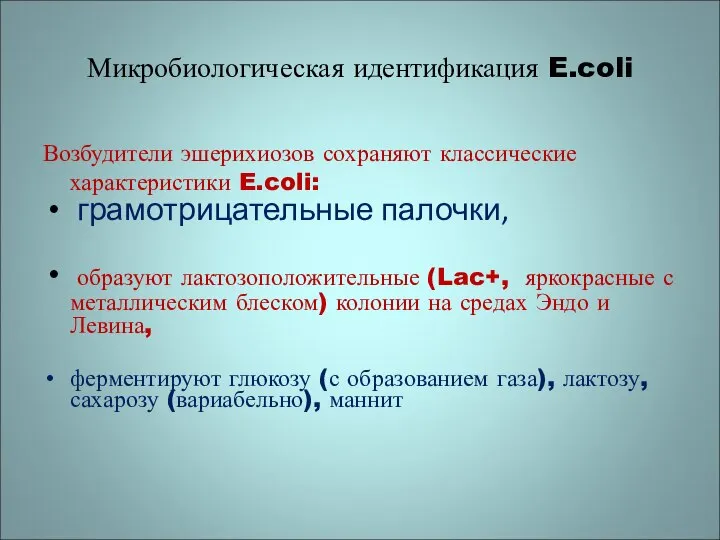 Микробиологическая идентификация E.coli Возбудители эшерихиозов сохраняют классические характеристики E.coli: грамотрицательные палочки,