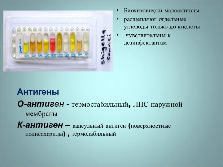 Антигены О-антиген - термостабильный, ЛПС наружной мембраны К-антиген – капсульный антиген