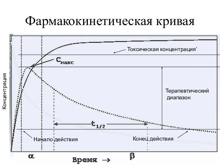 Фармакокинетическая кривая Концентрация Токсическая концентрация’ Терапевтический диапазон Начало действия Конец действия