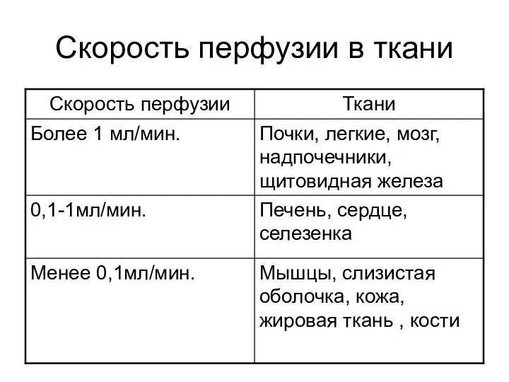 Скорость перфузии в ткани