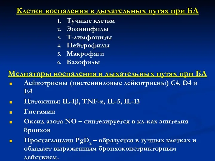 Клетки воспаления в дыхательных путях при БА Тучные клетки Эозинофилы Т-лимфоциты