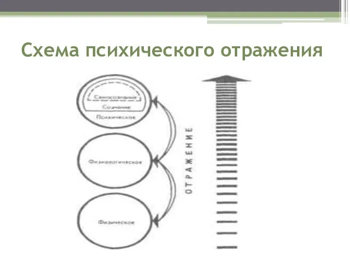 Схема психического отражения