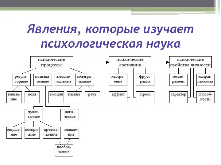 Явления, которые изучает психологическая наука