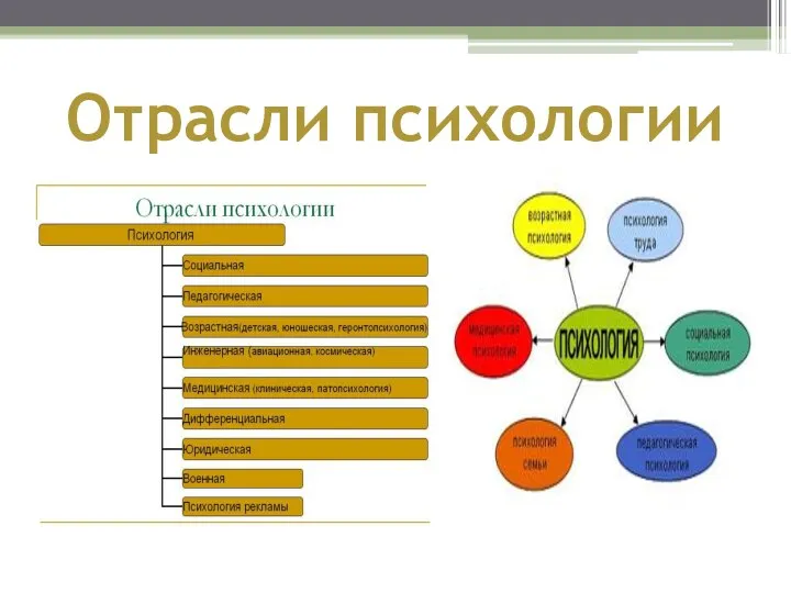 Отрасли психологии