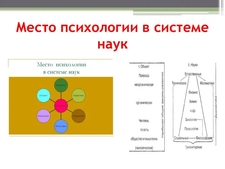 Место психологии в системе наук