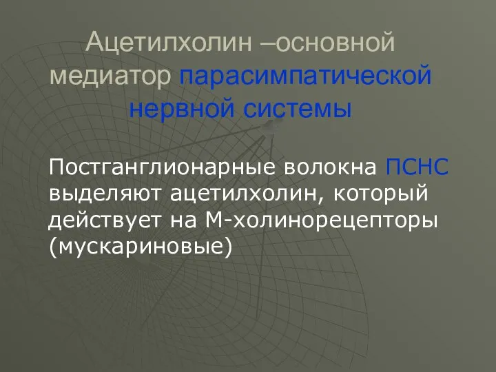 Ацетилхолин –основной медиатор парасимпатической нервной системы Постганглионарные волокна ПСНС выделяют ацетилхолин, который действует на М-холинорецепторы (мускариновые)