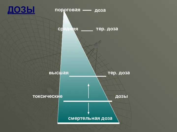 ДОЗЫ средняя тер. доза высшая пороговая доза тер. доза токсические дозы смертельная доза