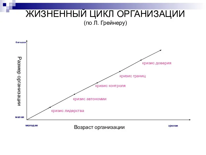 ЖИЗНЕННЫЙ ЦИКЛ ОРГАНИЗАЦИИ (по Л. Грейнеру) Возраст организации молодая зрелая Размер