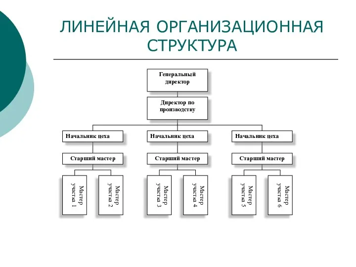 ЛИНЕЙНАЯ ОРГАНИЗАЦИОННАЯ СТРУКТУРА